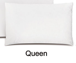 20x31 Bliss Blend Pillow Insert (Queen)