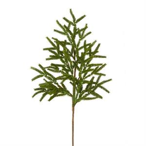 27"L NORFOLK ISLAND PINE SPRAY GREEN