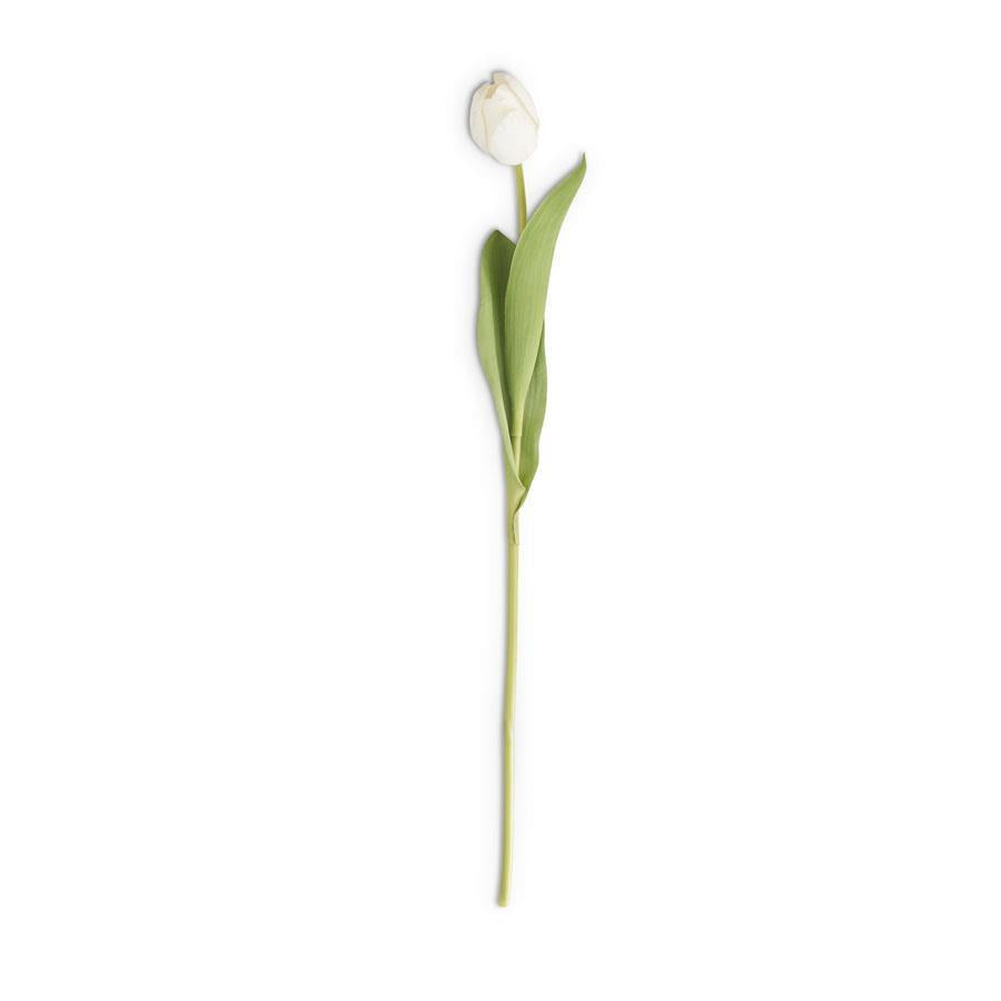 26.75" White Silk W Real Touch Single Tulip Stem