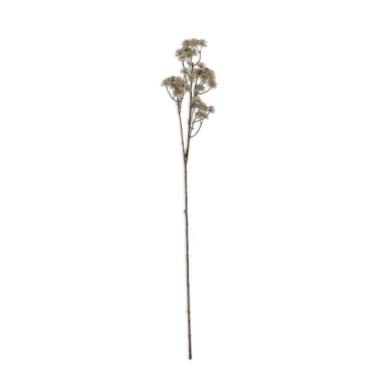 33" Natural Aralia Stem