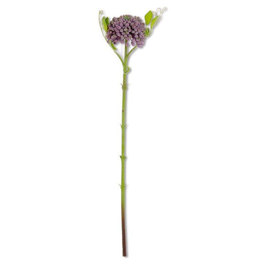 20" Purple Sedum Stem-Purple : 20"