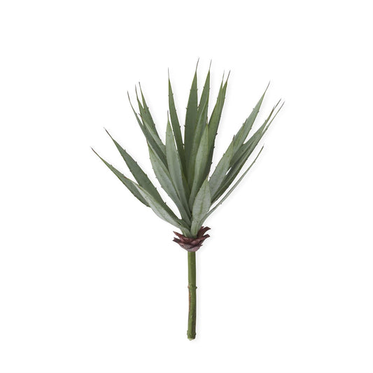 16" Spiked Agave