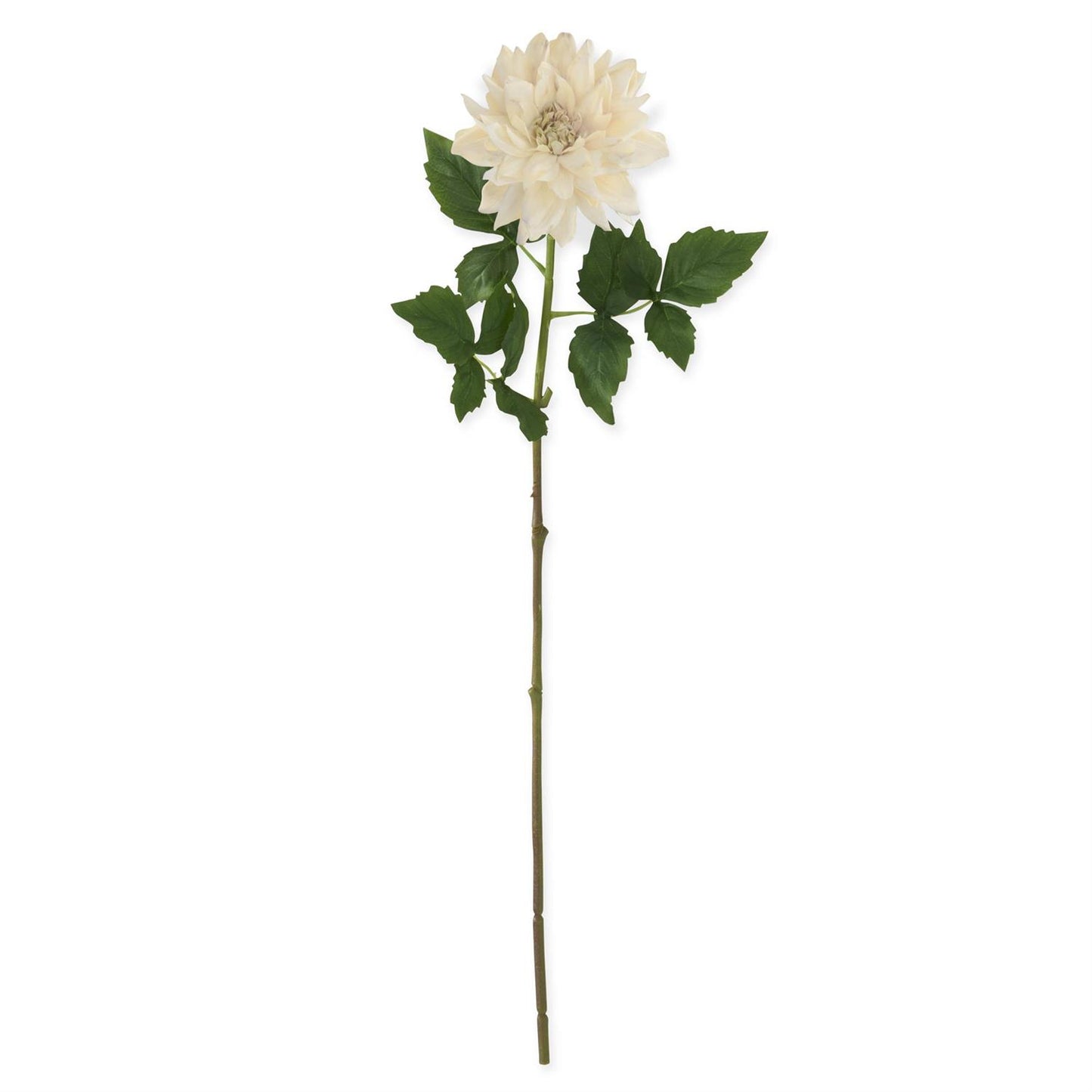 29" Cream Real Touch Dahlia