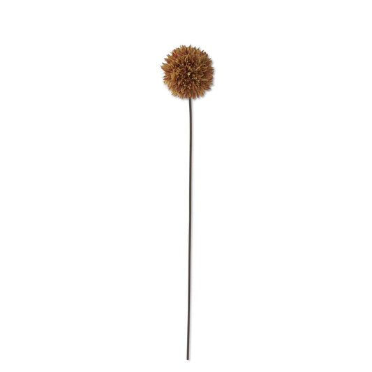 31" Tan Allium Stem