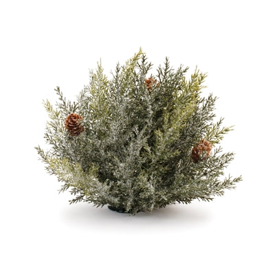 6.5"D Icy Pine Half Orb