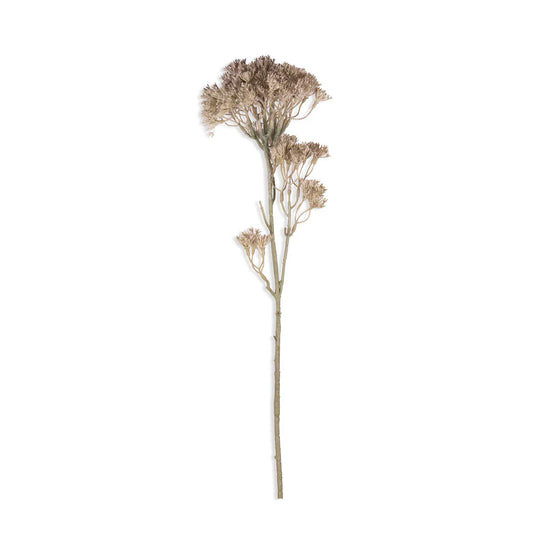 34.25" Aritficial Orlaya Stem