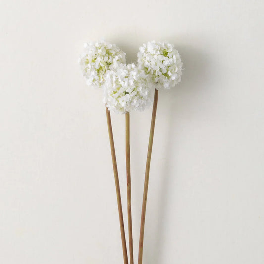 White Allum Bunch